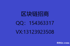 数字货币招商