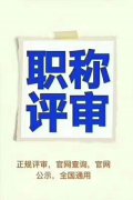 2020年陕西省环境工程师职称相关评定条件