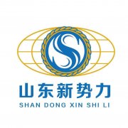 山东新势力企业管理咨询有限公司（社保代缴）