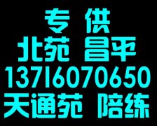 燕丹天通苑北七家汽车陪练机构