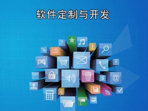 南昌互联网转型计算机软件APP开发商城网站建设开发