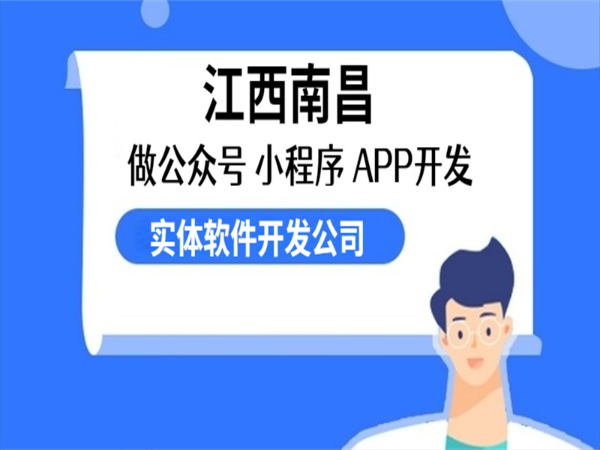 实体软件开发公司,南昌公众号小程序APP开发