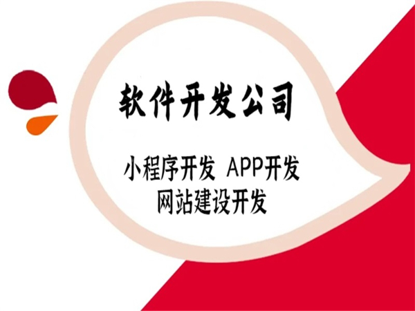 企业软件开发公司,南昌小程序APP网站建设开发