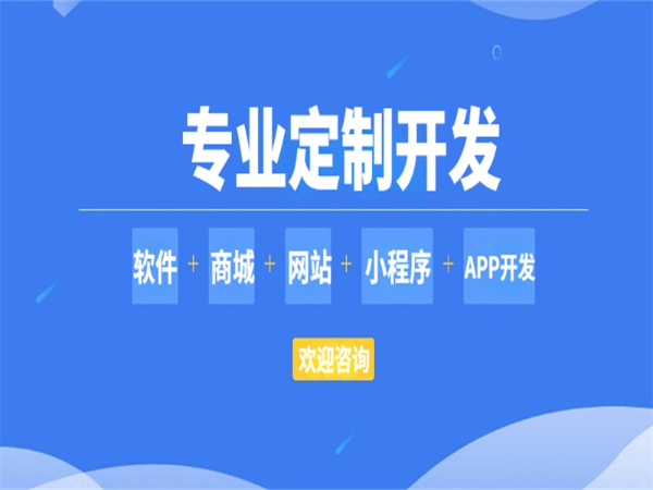 专业定制开发,南昌商城小程序APP软件开发