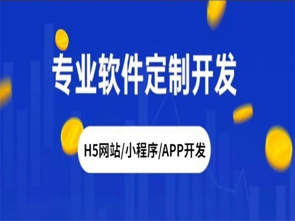 软件定制服务商,南昌H5网站小程序APP开发