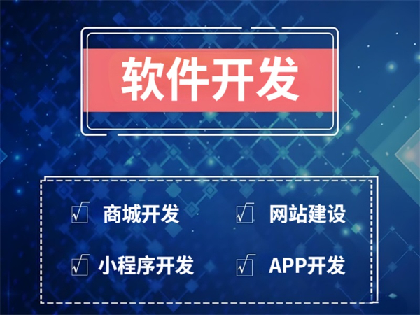 南昌本土软件开发团队,做商城网站小程序APP