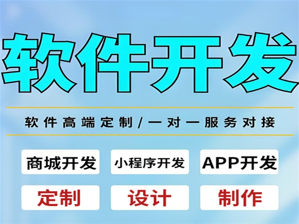 南昌市开发软件18年,商城小程序设计制作APP开发