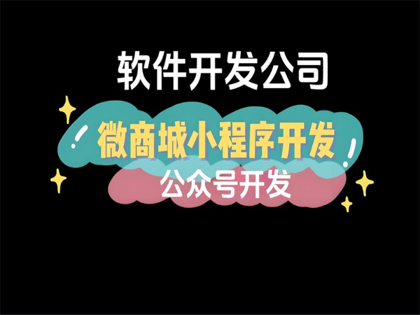 软件开发服务公司,公众号微商城小程序开发