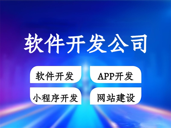 个性化软件产品开发,南昌做网站小程序APP