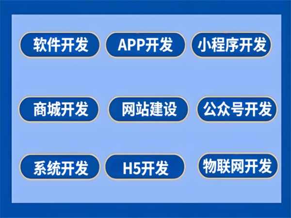 0-1做软件公司,南昌APP商城小程序开发制作