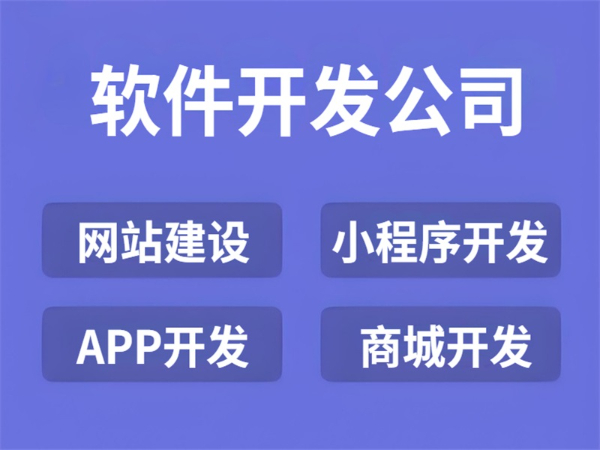 南昌价格优惠的网站小程序APP软件开发公司