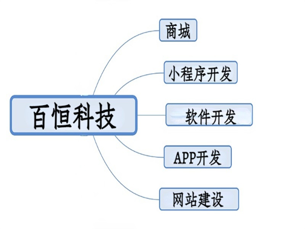 南昌专注做软件19年,小程序APP商城网站开发