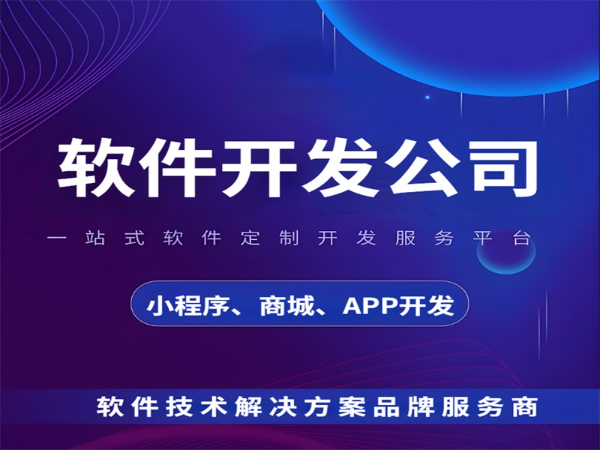 南昌早一批做软件APP商城小程序开发的公司